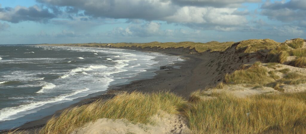 photo of sandy, grassy coastlands